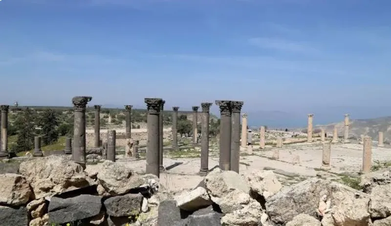 Umm Qais and Jerash Day Tour